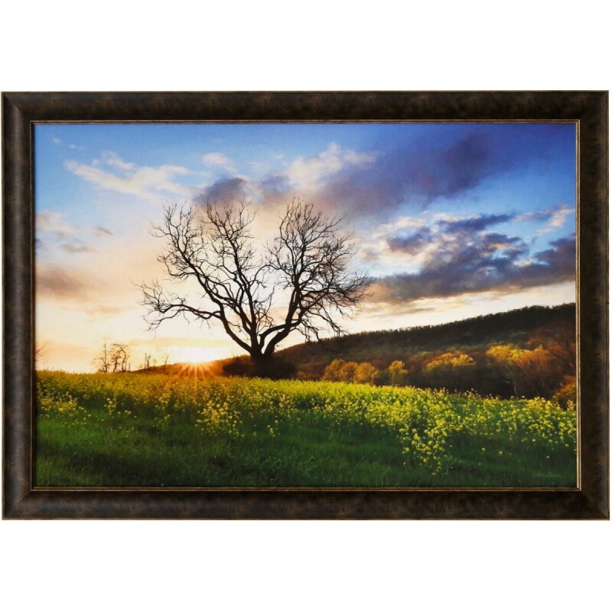 cb0c60b13cba9b95ecc9ae489766a47f Framed Print Under Glass - Image 1