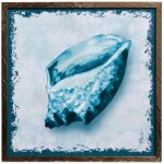 Perth Shells Iii Texture Framed Print