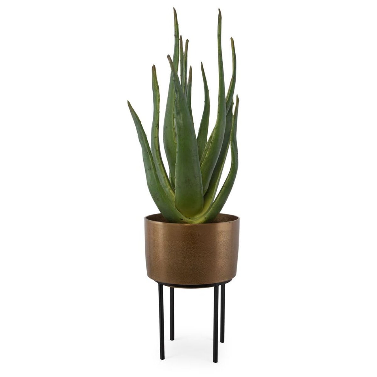 cd1e75597dc3a6a39abb88848c3e711e Arabia Aloe Planter, 2 Cartons - Image 1