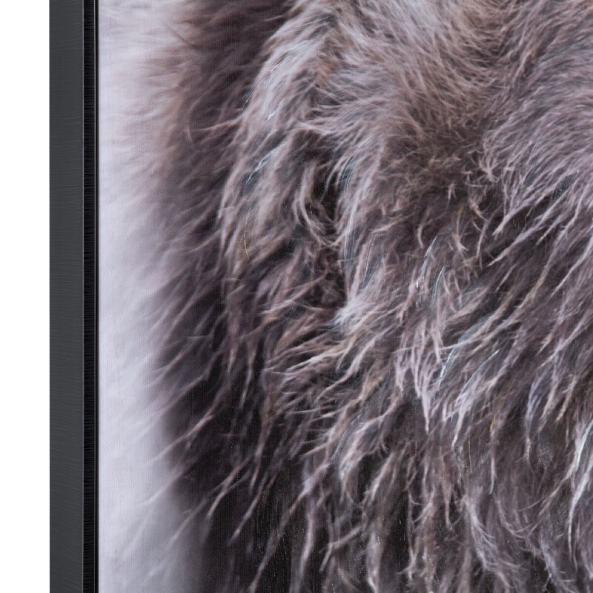 cf3b5b313be05ce37b27d09af9fa9737 Bear's Den - Image 1