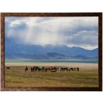 Framed Print Under Glass