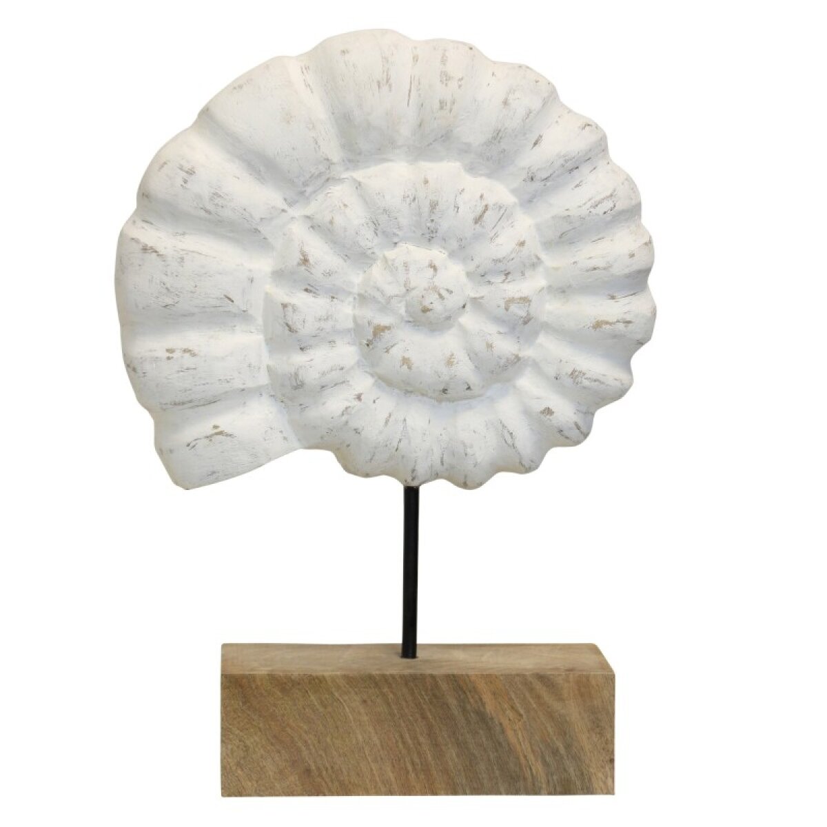 d1f1291c9892361fdf388989e971a22b Ocean Shell Statue Weathered White Finished Solid Mango Wood - Image 1