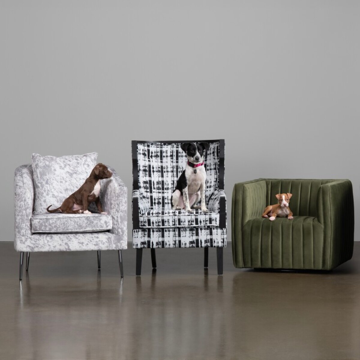 d3a71c168da889f839924041ae7c6fb5 Alana Accent Chair - Image 1