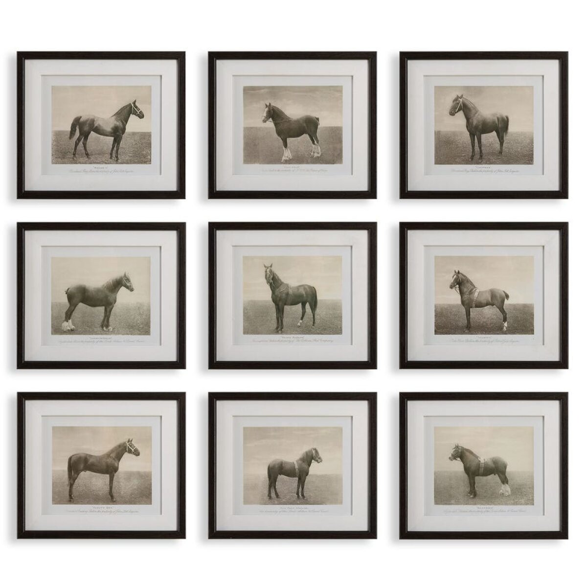 d44171e3718aece401aab9b7fb9718a5 Equine Dynasty Framed Prints, S/9 - Image 1