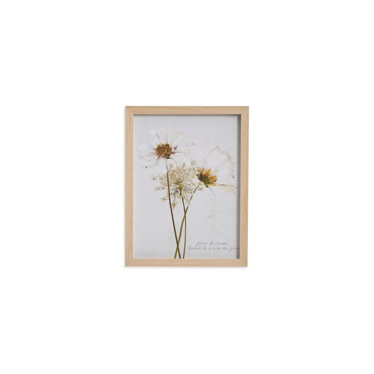 d5dae3e918bb431cacfbc2d514bdc914 Wildflowers with Dandelion - Image 1