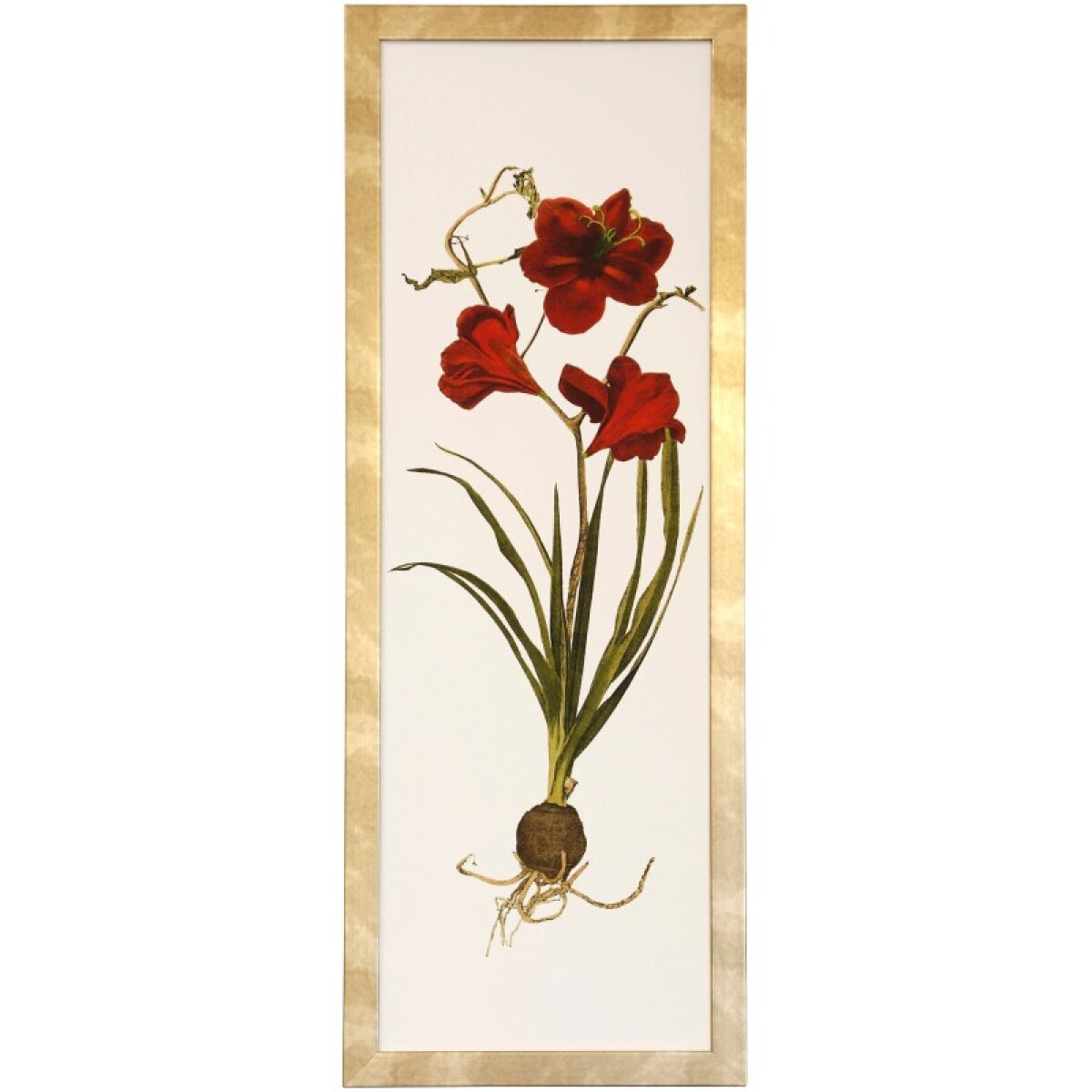 d76282324e1e69e316debac97dd74d8f Amarylis Panel I Framed Print Under Glass - Image 1