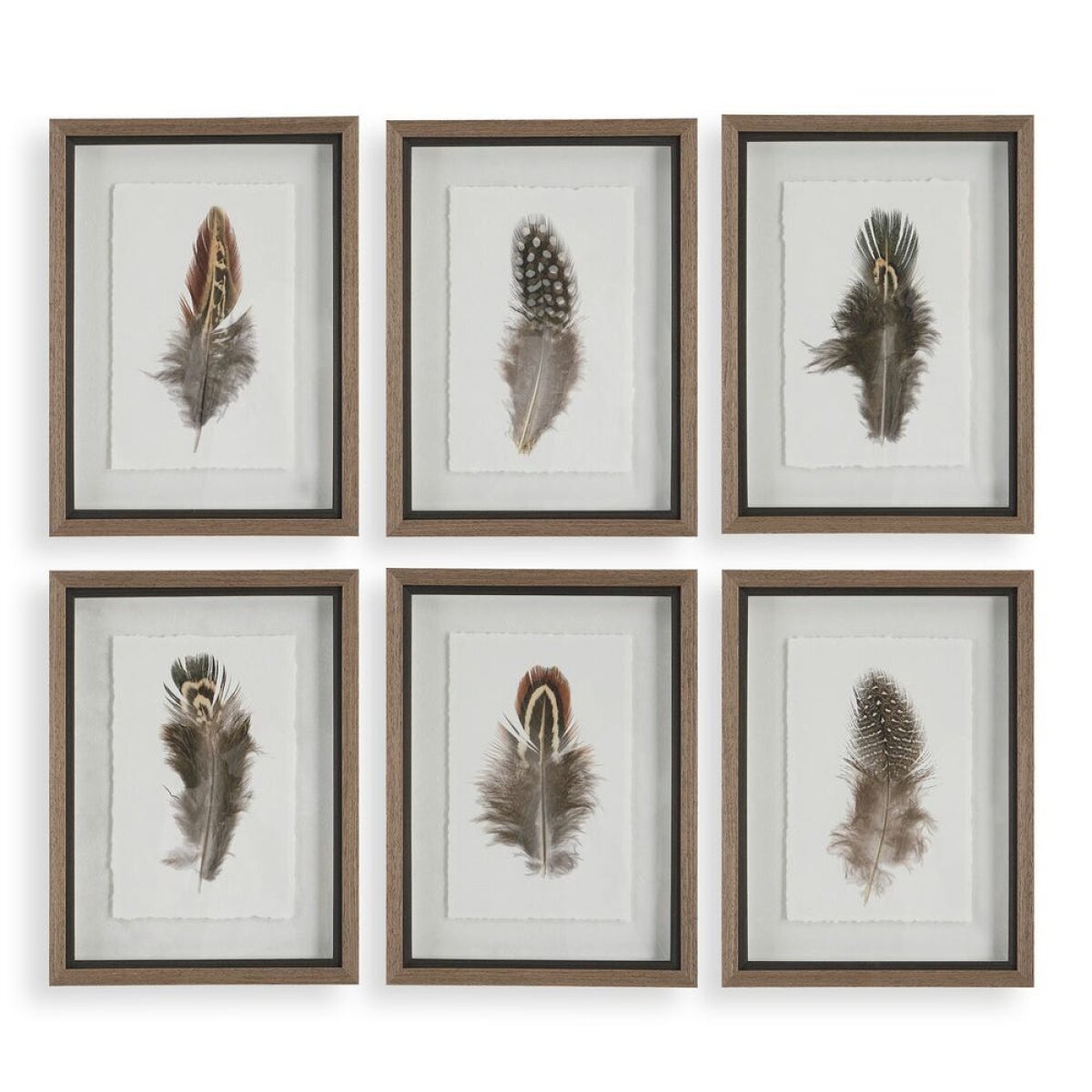 d768522a9413205d6aeda43686f6bac5 Birds Of A Feather Framed Prints, S/6 - Image 1