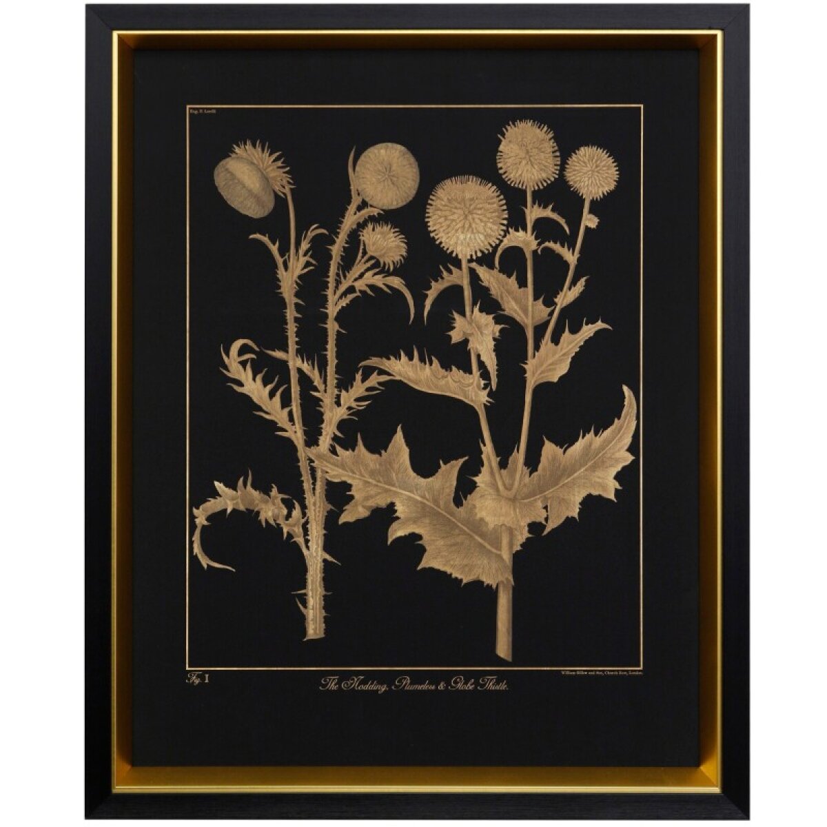 d76ce3c007ea839e11d3a2f96c2bf630 Thistle Framed Print Under Glass - Image 1