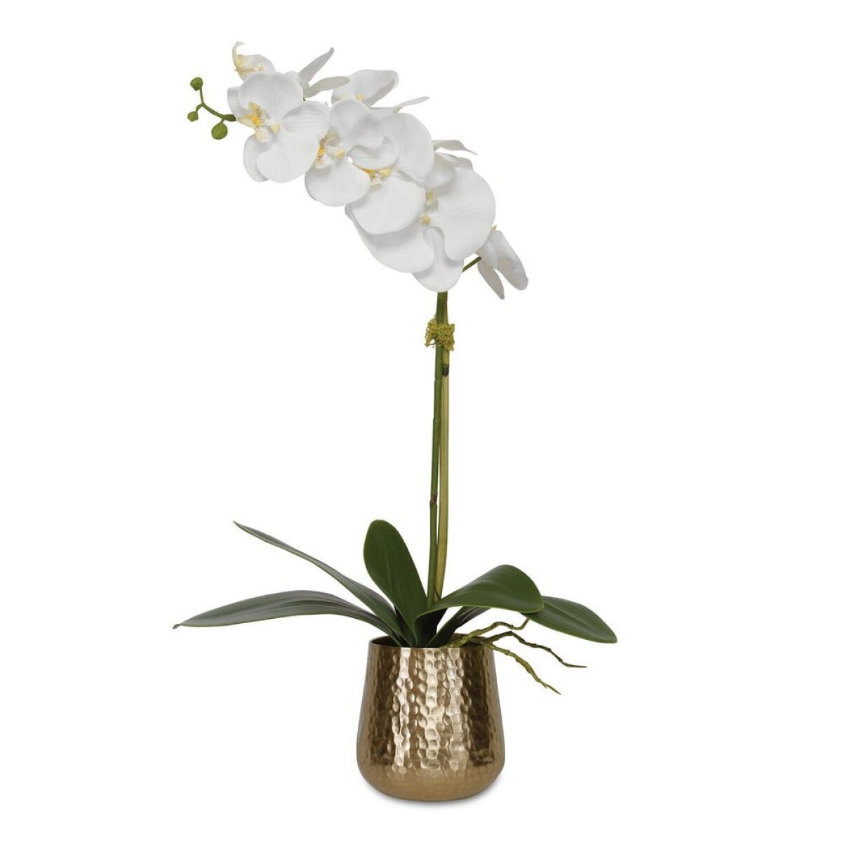 d784e4ec0ef5341469c780e6b4c07f73 Cami Orchid, Brass - Image 1
