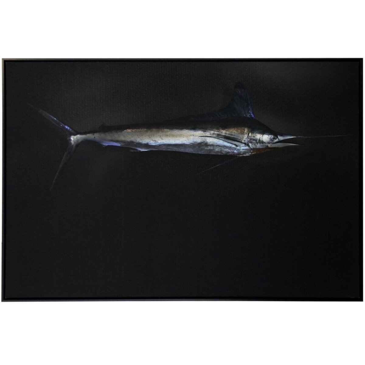 d93689c9704651fcdaebfa631ad843e2 Sailfish Stretched Canvasdann Foley Lifestyle - Image 1