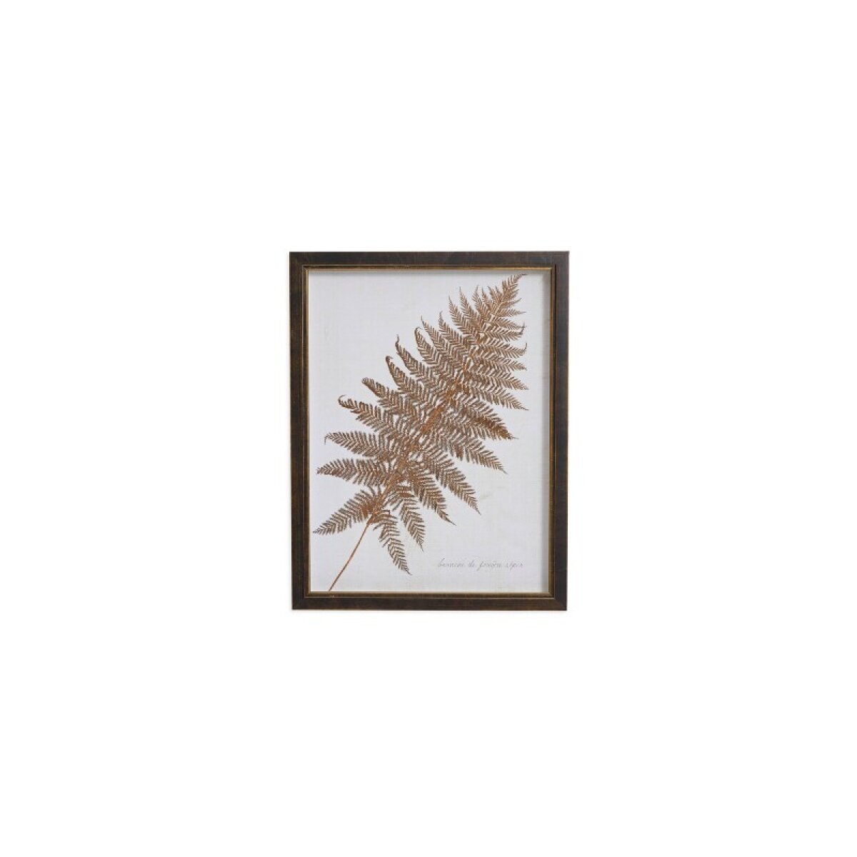 ddda6fd5733d37b944c82a3aa99b1d88 Sepia Fern Frond - Image 1