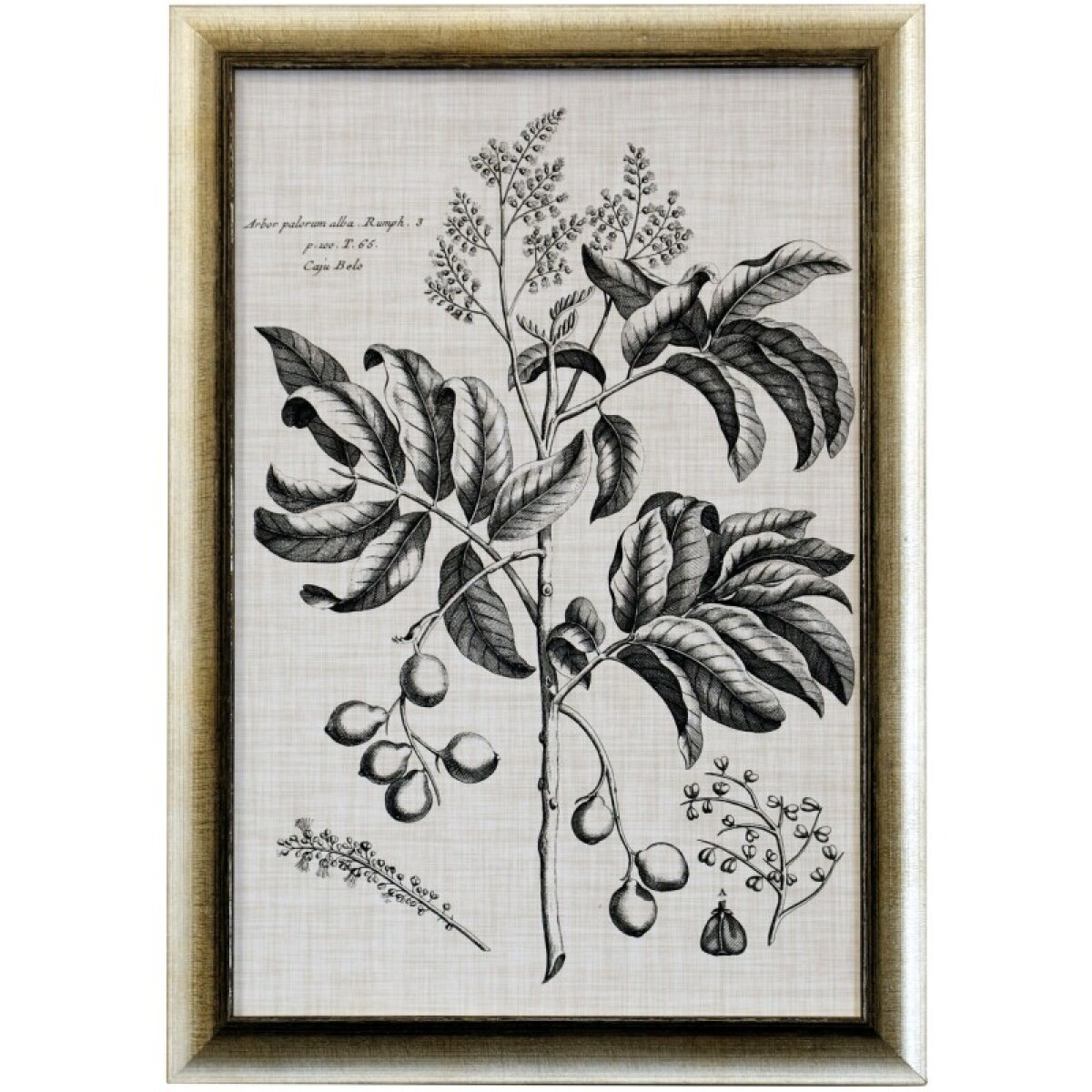 de6e8d721eb647f7f153d18b56edeceb Black & Oatmeal Botanical Iv Framed Print Under Glass - Image 1