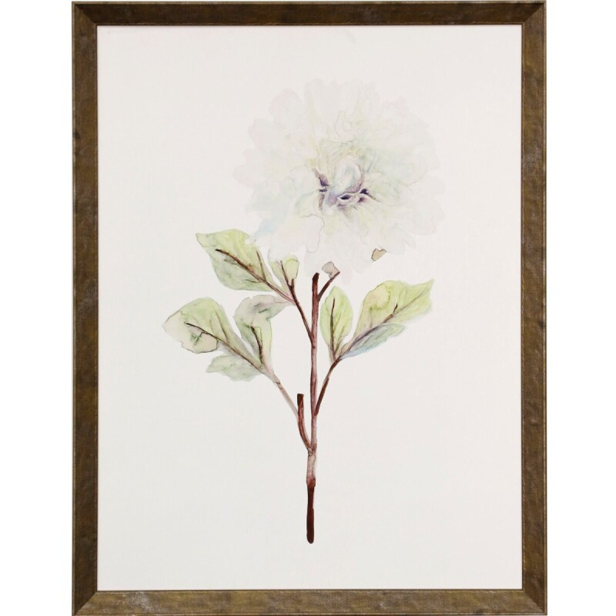 df8829fccac48d29bde59648dd4db8cc White Blosson I Framed Print Under Glass - Image 1