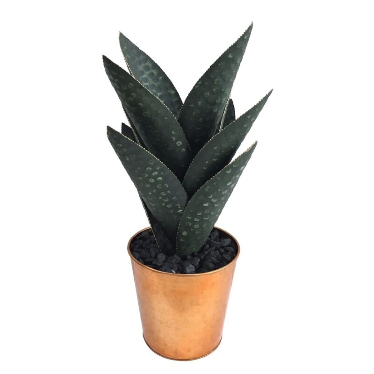 e1797ab51638d446fe8a8cfb44aacce8 Medium Oasis Hand Finished Cactus - Image 1