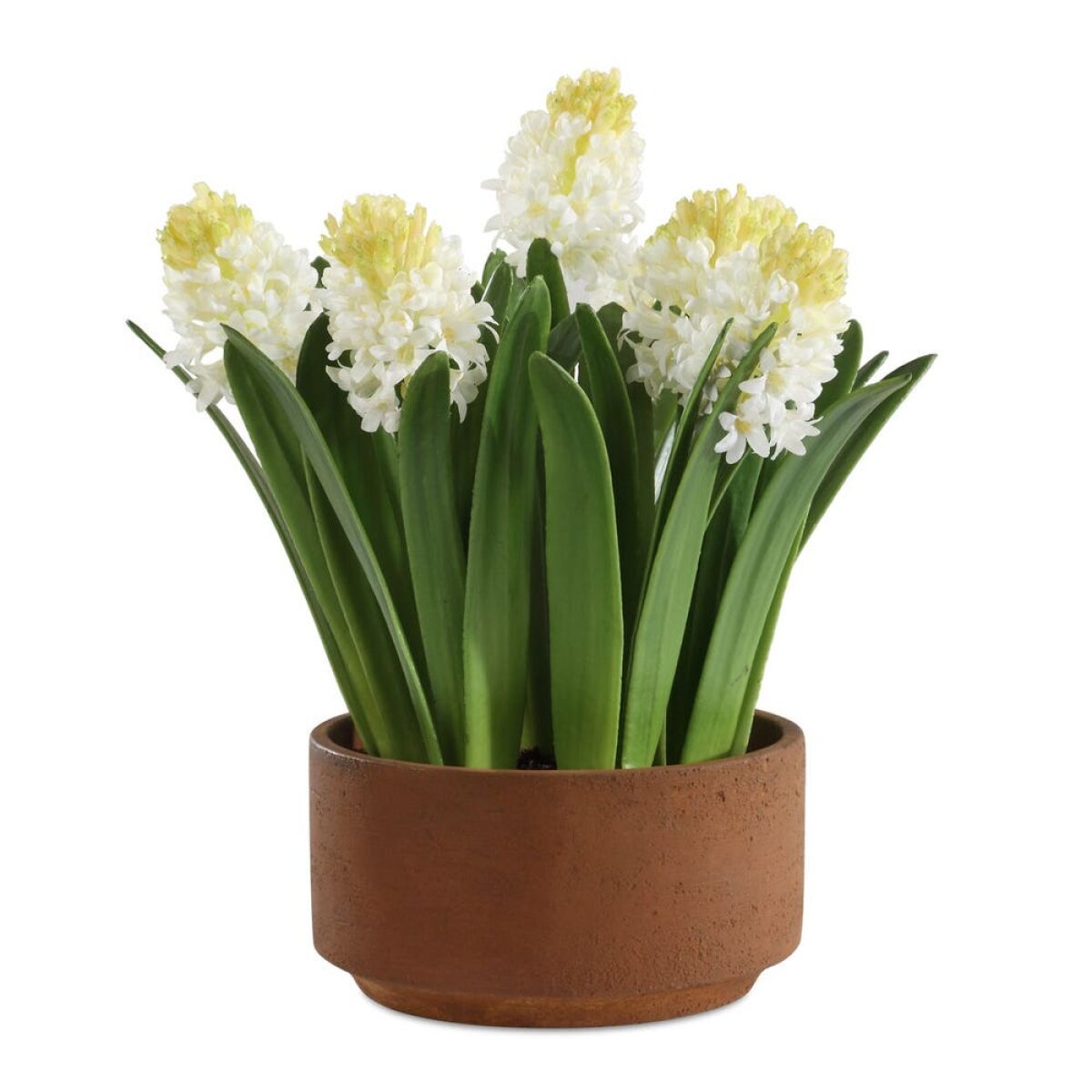 e2fd5370b40ce3e906a620f97ee4cf18 Sincerity Potted Hyacinth - Image 1
