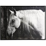 Norman Wyatt Home Norman Wyatt Jr Manufactured Canvas