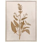 Pressed Branch Ii Textured Framed Print