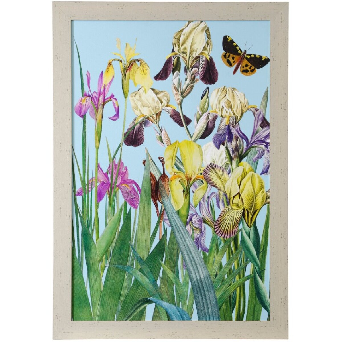 ee2128bc68db656239262391aa72fae6 Iris Fantasy Ii Textured Framed Print - Image 1