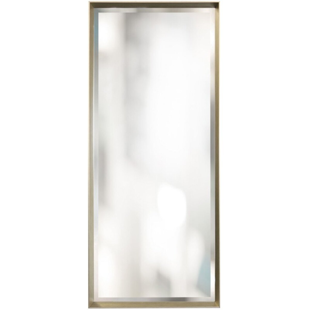 ef60b36dcf69a352f1b1d5edf552d36c Tarnished Silver Deep Gallery Manufactured Mirror - Image 1