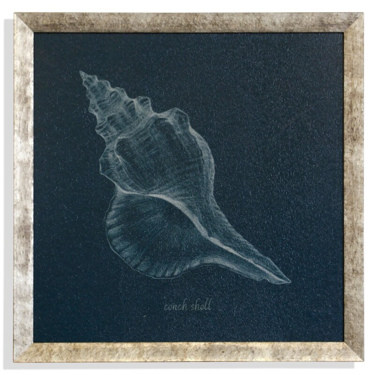ef6b5ea255b6d130d77ff388a6cdff6c Shell Studytextured Framed Print - Image 1