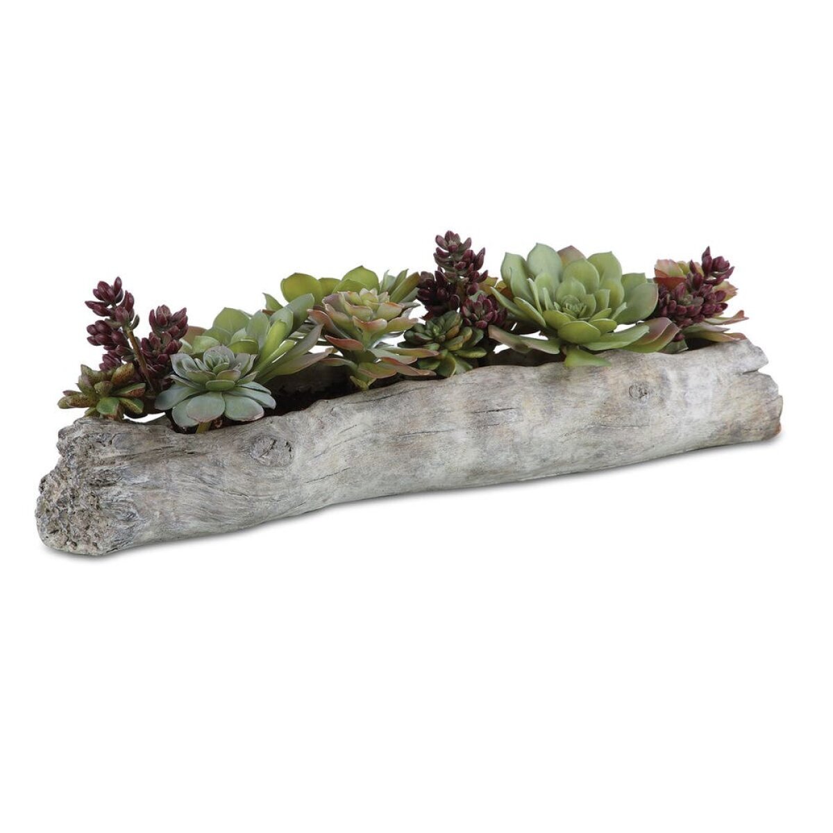 efa708ef889ec4263de23e85043f0a2a Charita Succulents - Image 1