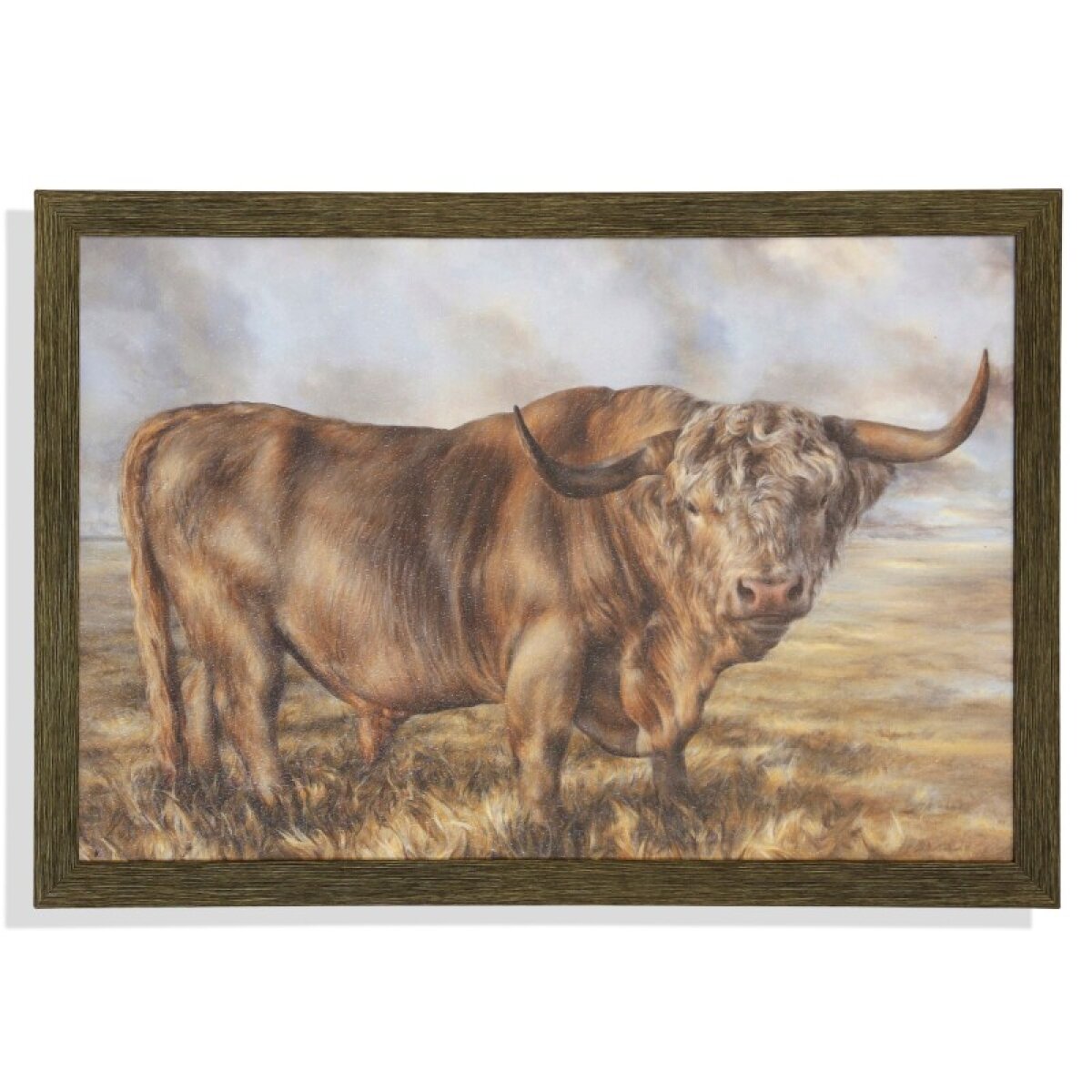 f0a25e56822391642620a1d95c6257ba Highland Brown Bulltextured Framed Print - Image 1