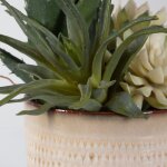 Seaside Succulents, S/2 - Image 5