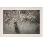 Fruit Tree Textured Framed Print