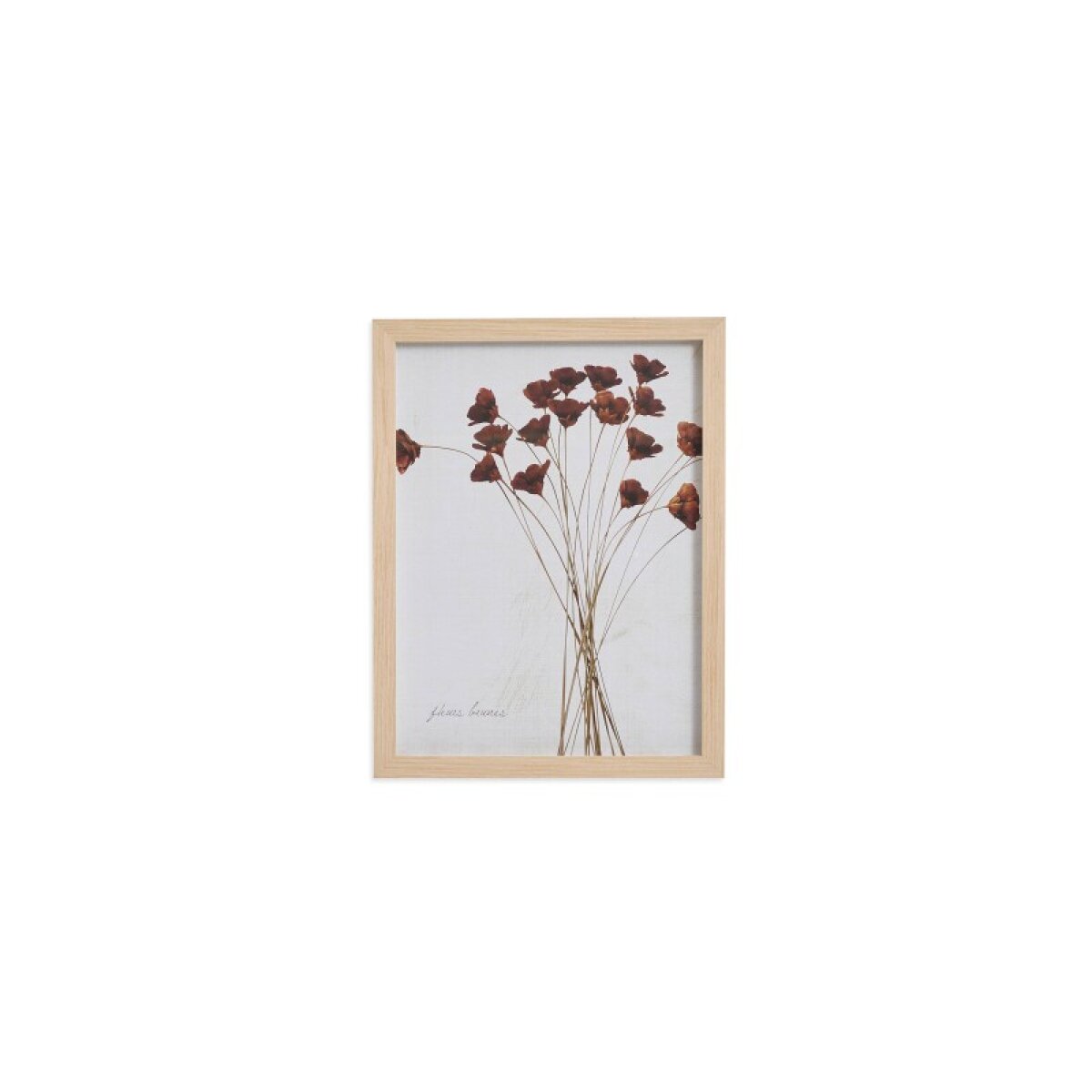 fa7b0a66b27ea0aff9a74cdce7d5ba09 Deep Red Wildflowers - Image 1