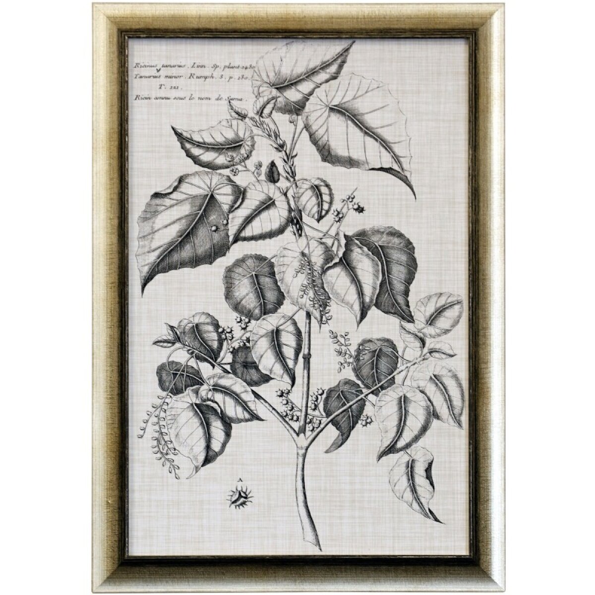 fac741eb23205f23cc3c07d273cdab28 Black & Oatmeal Botanical Vi Framed Print Under Glass - Image 1