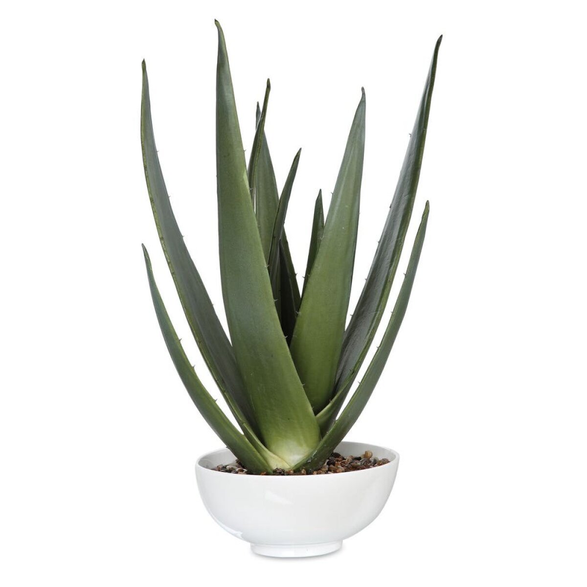 fc7999b63c16d6499f031aeebd55345c Evarado Aloe Planter - Image 1