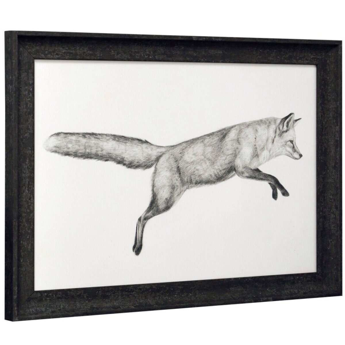 fd09ec0ed5fe467b9a6a7ddd94638c28 Flying Fox I Framed Print Under Glass - Image 1