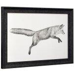 Flying Fox I Framed Print Under Glass