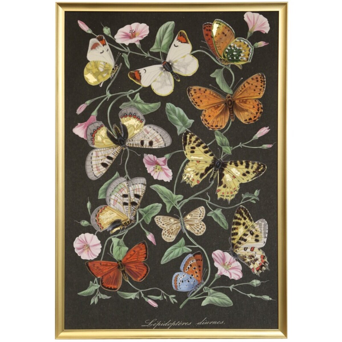 fe787528ad1babe36db4b914c013ca6c Le Jardin Des Plantes Manufactured Framed Canvas - Image 1