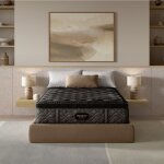 Beautyrest Black - Series One Plush Pillow Top