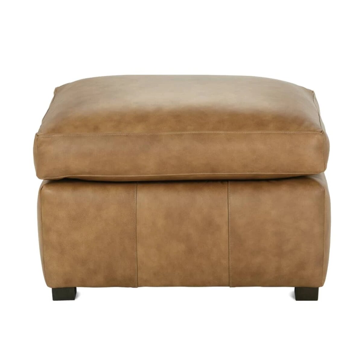 86dec0596537c6d5b3a576e652a4e1be Desmond Leather Ottoman - Image 1
