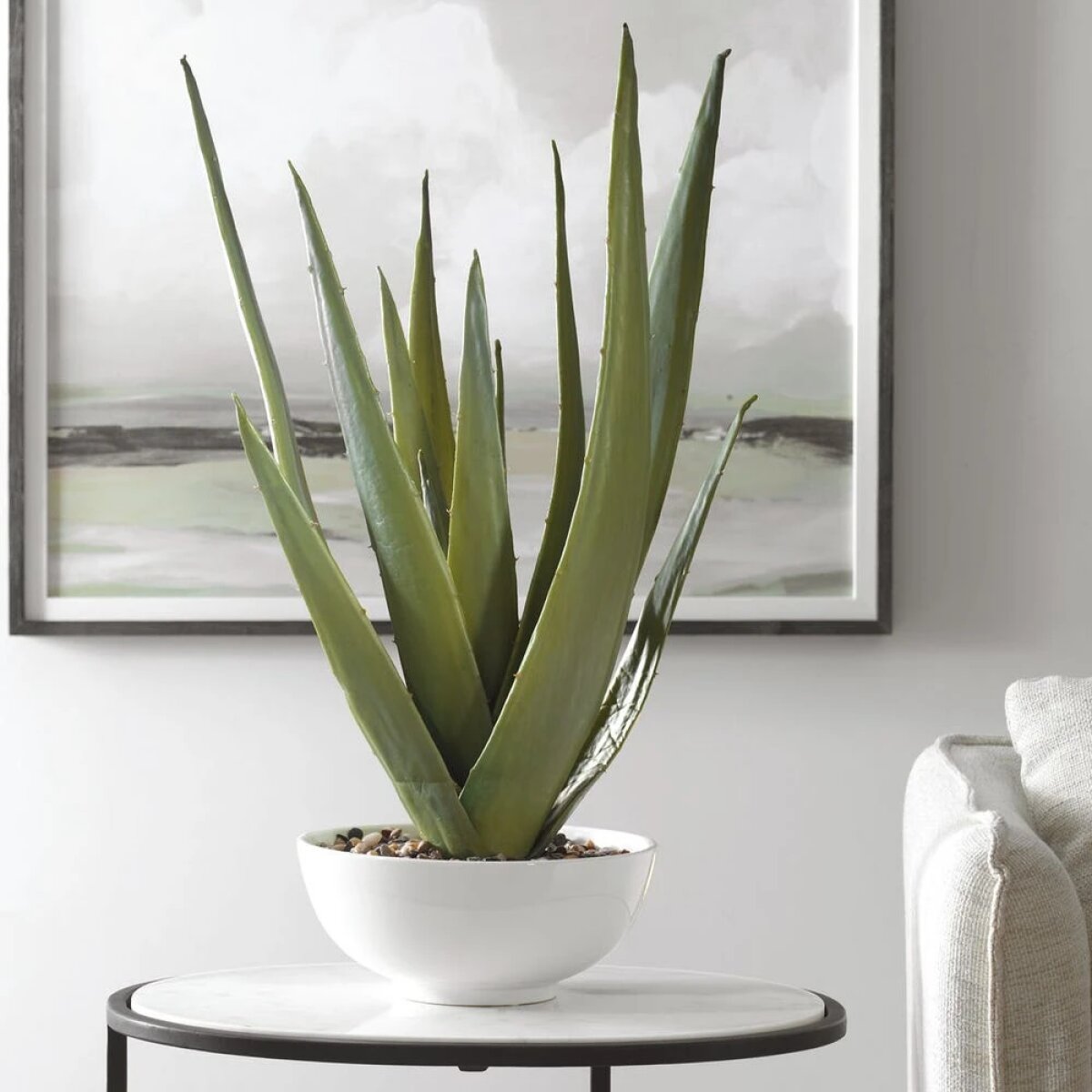 3d2ec756f273e739e5f37ea9e521eb67 Evarado Aloe Planter - Image 1