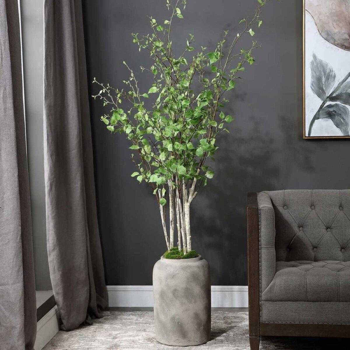 c049df40451ec395eacd29fbc35d4fef Aldis Potted River Birch - Image 1