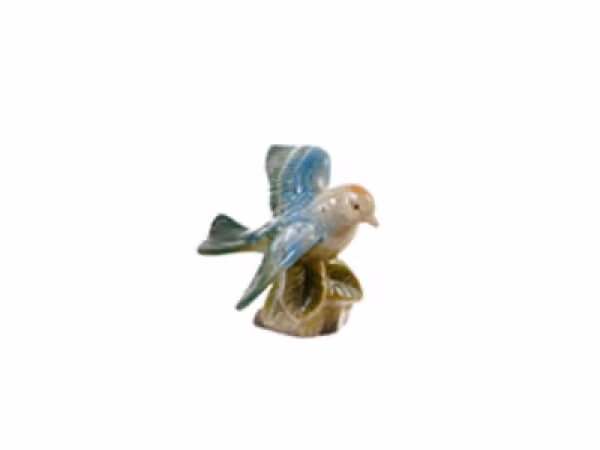 Bird 600x450.avif