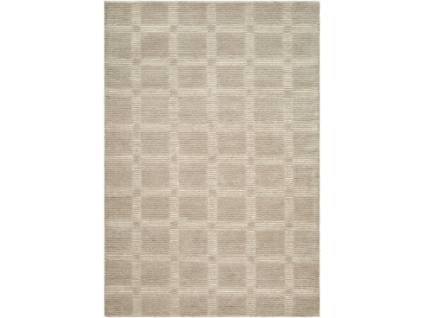 Rug 8' x 10'